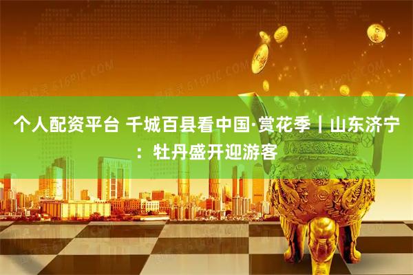 个人配资平台 千城百县看中国·赏花季｜山东济宁：牡丹盛开迎游客